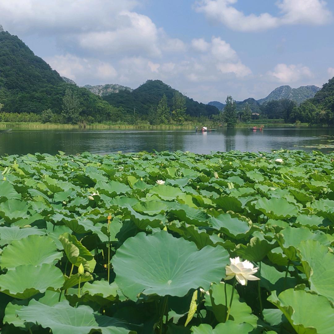 （🪂……如不动）