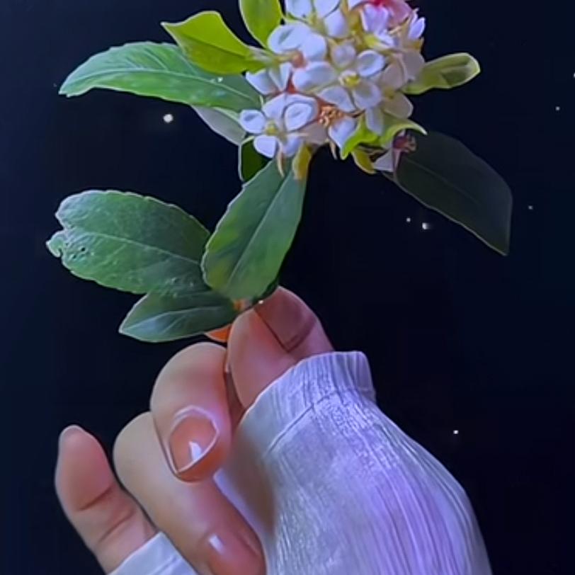 蓝天粤直播(不定时开播)