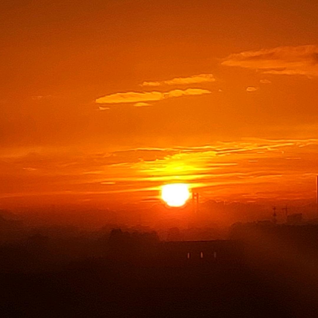 年年有(鱼)🐠🐠🐠