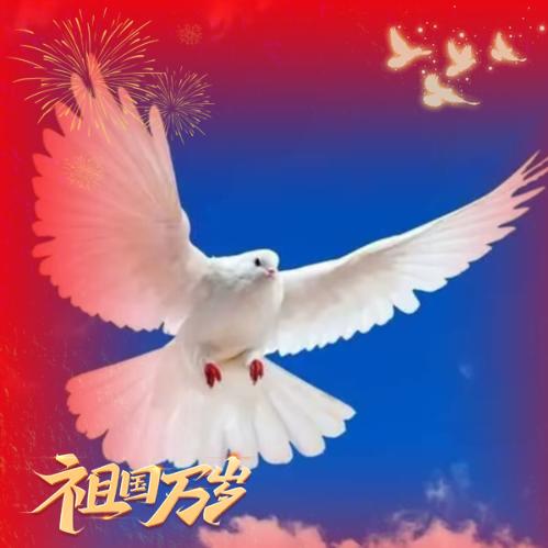 王花花（正宗崇礼花花）