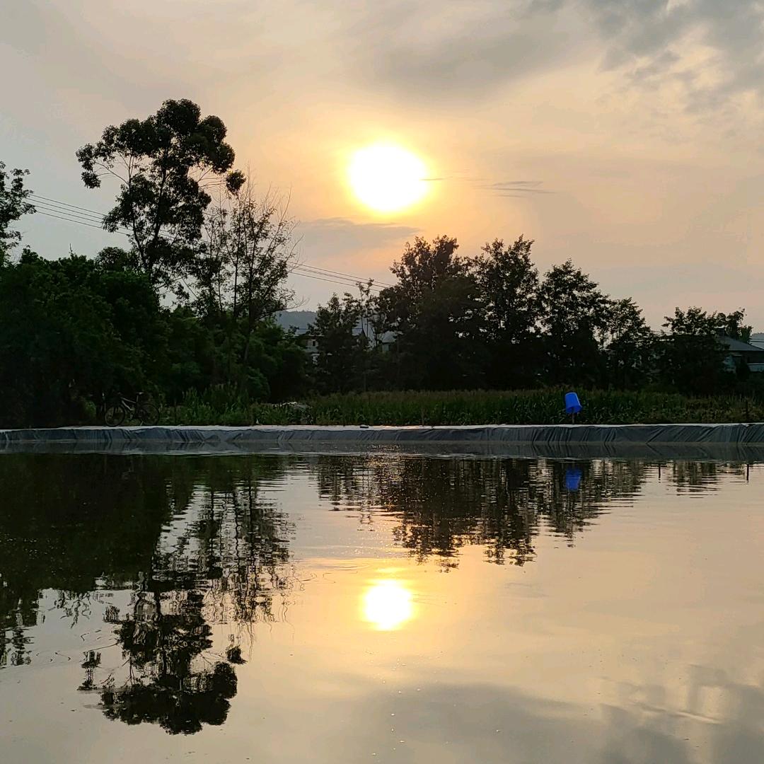 寂尘(三角洲行动)