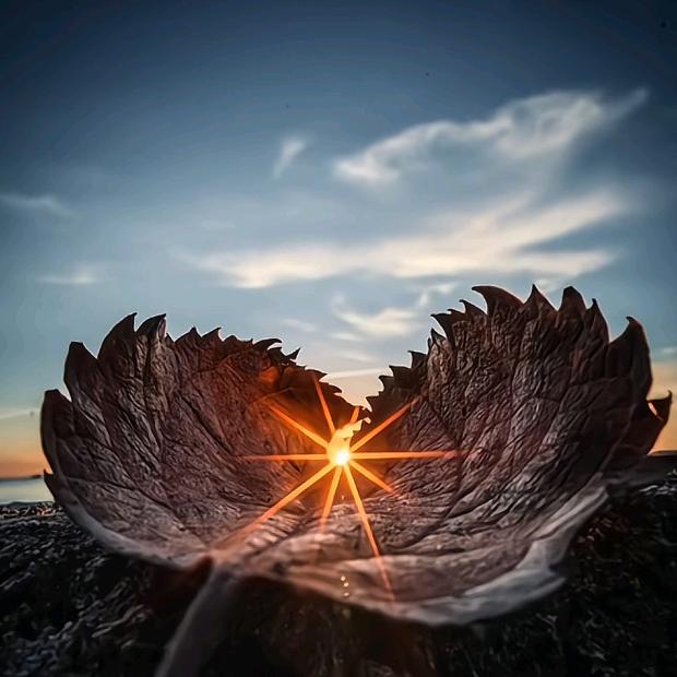 🈶1️⃣说1️⃣😂᭄