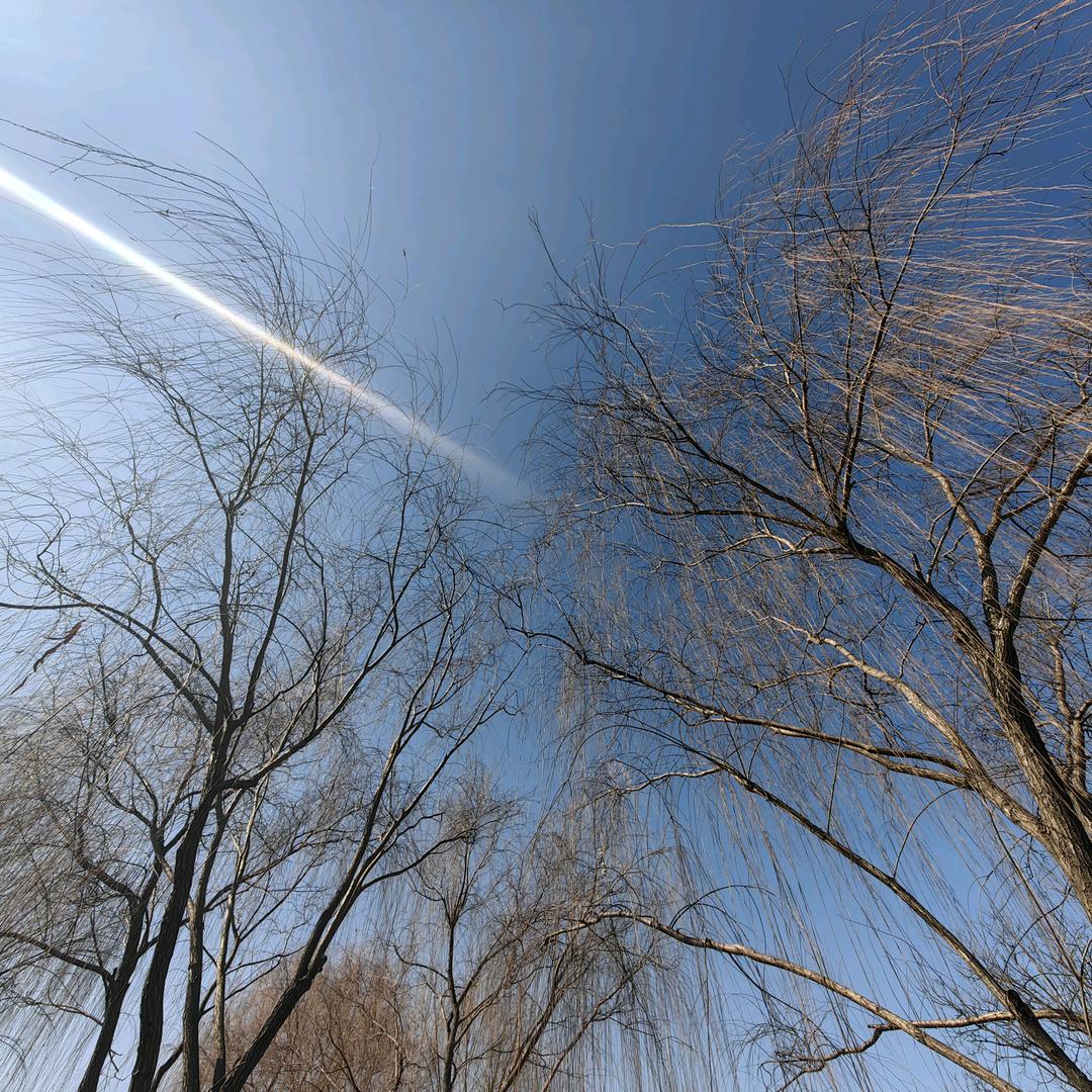 物流运输、泊弟