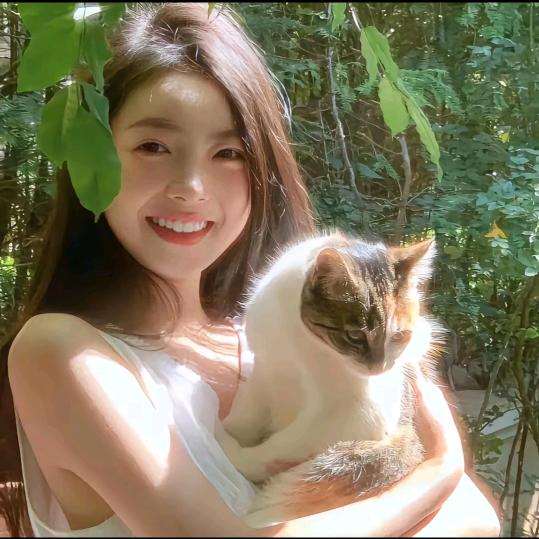 追寻自由🦋