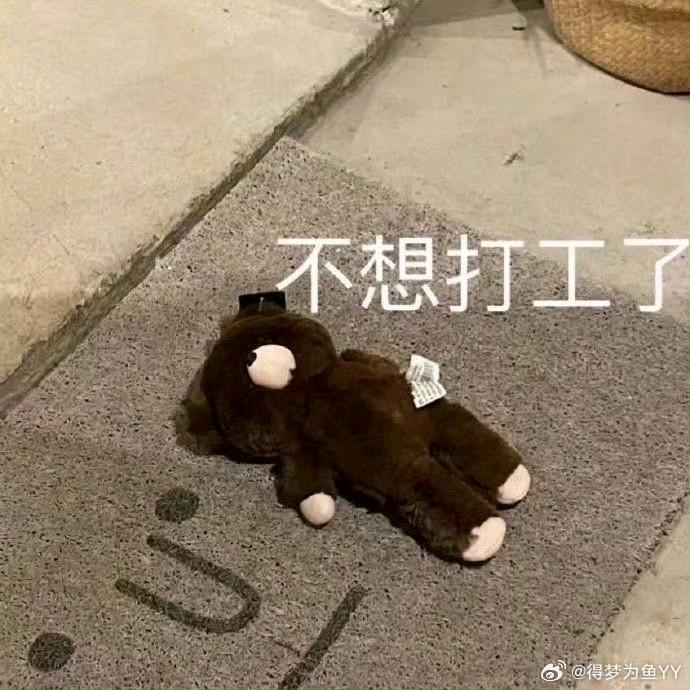 刚睡醒还有点懵