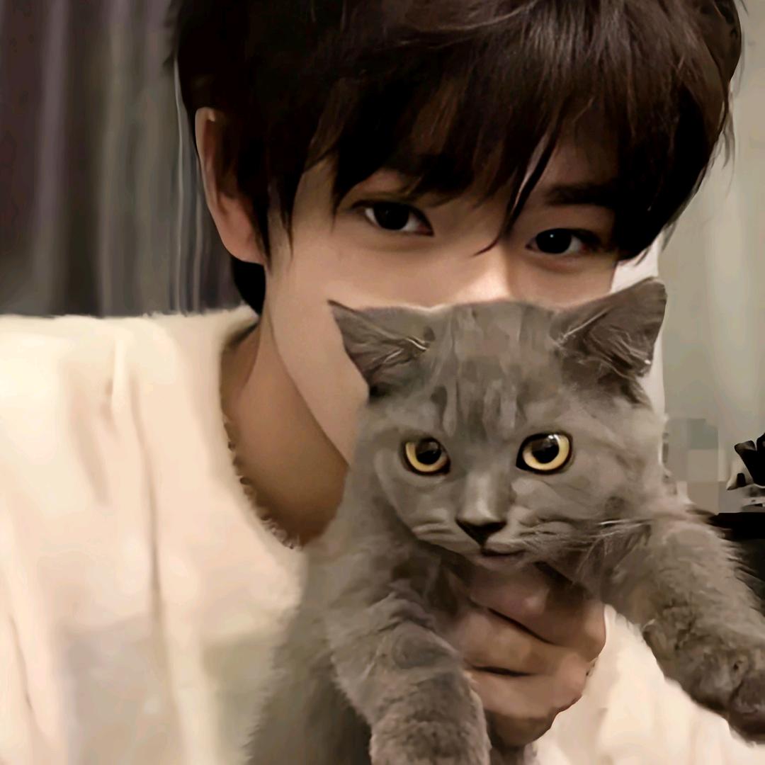 错认为是猫被抓去绝育