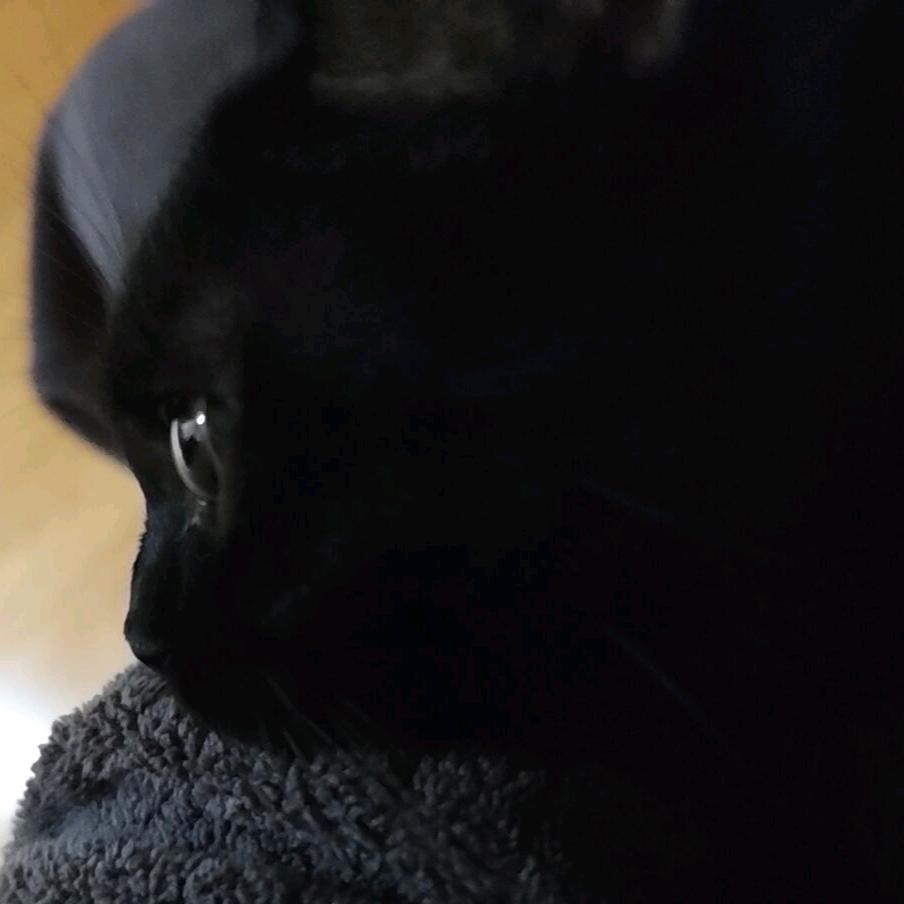 波旬