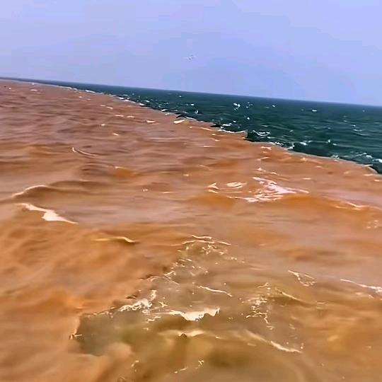 水太深风太大没有实力少说话