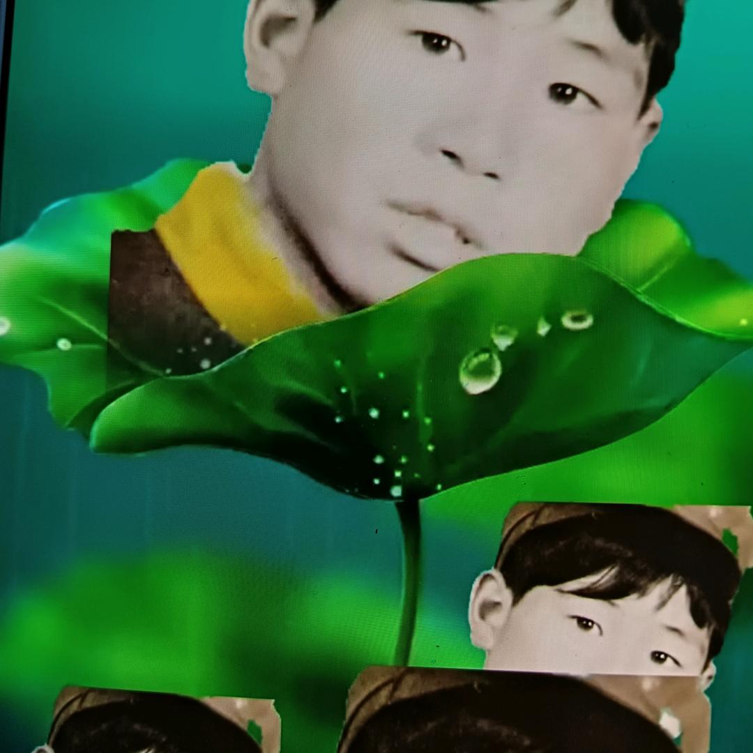 凤舞九天12284522