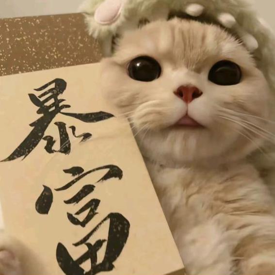 @七安