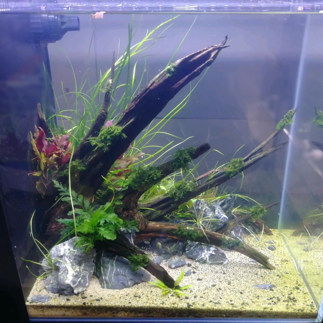 多多水族馆