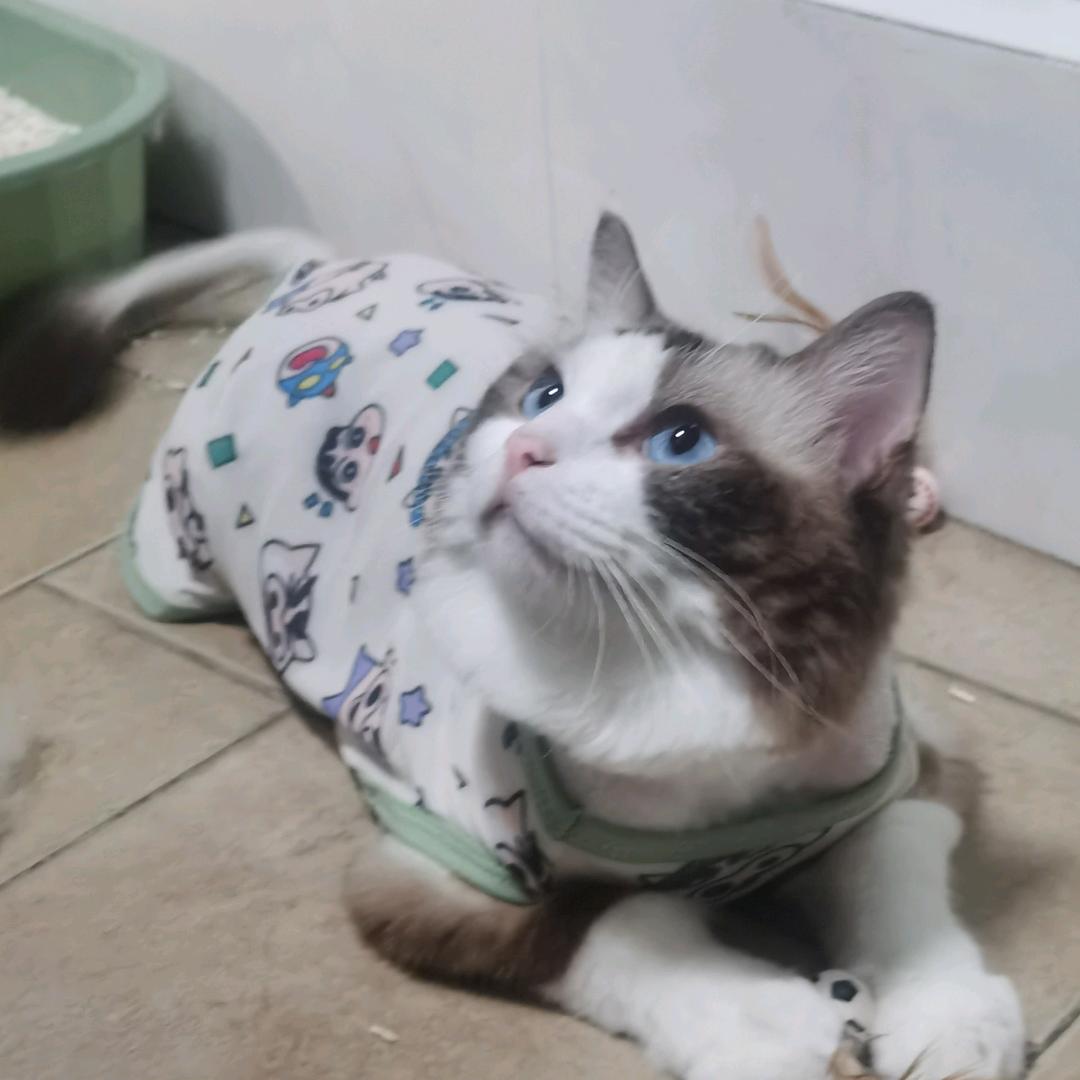 惹了尘埃