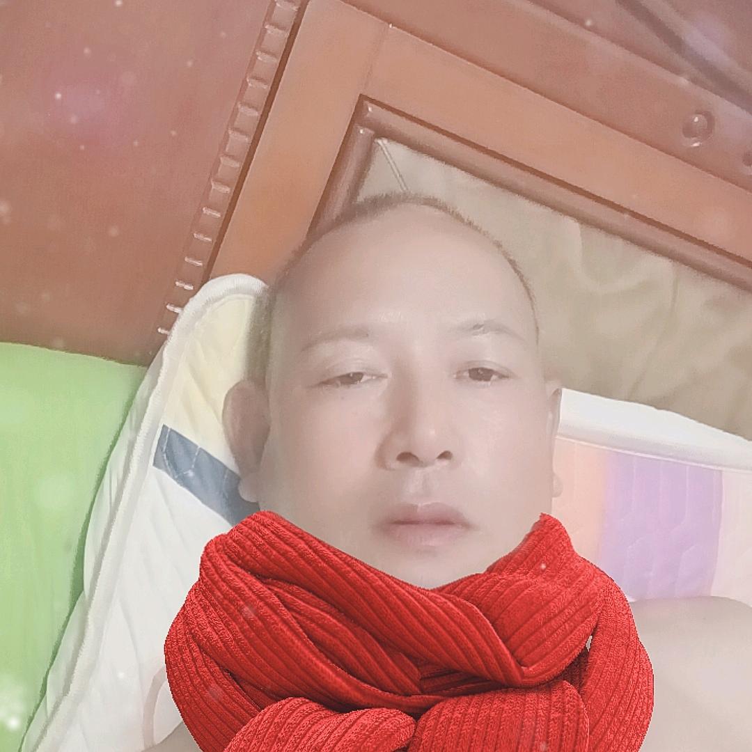 一匹马