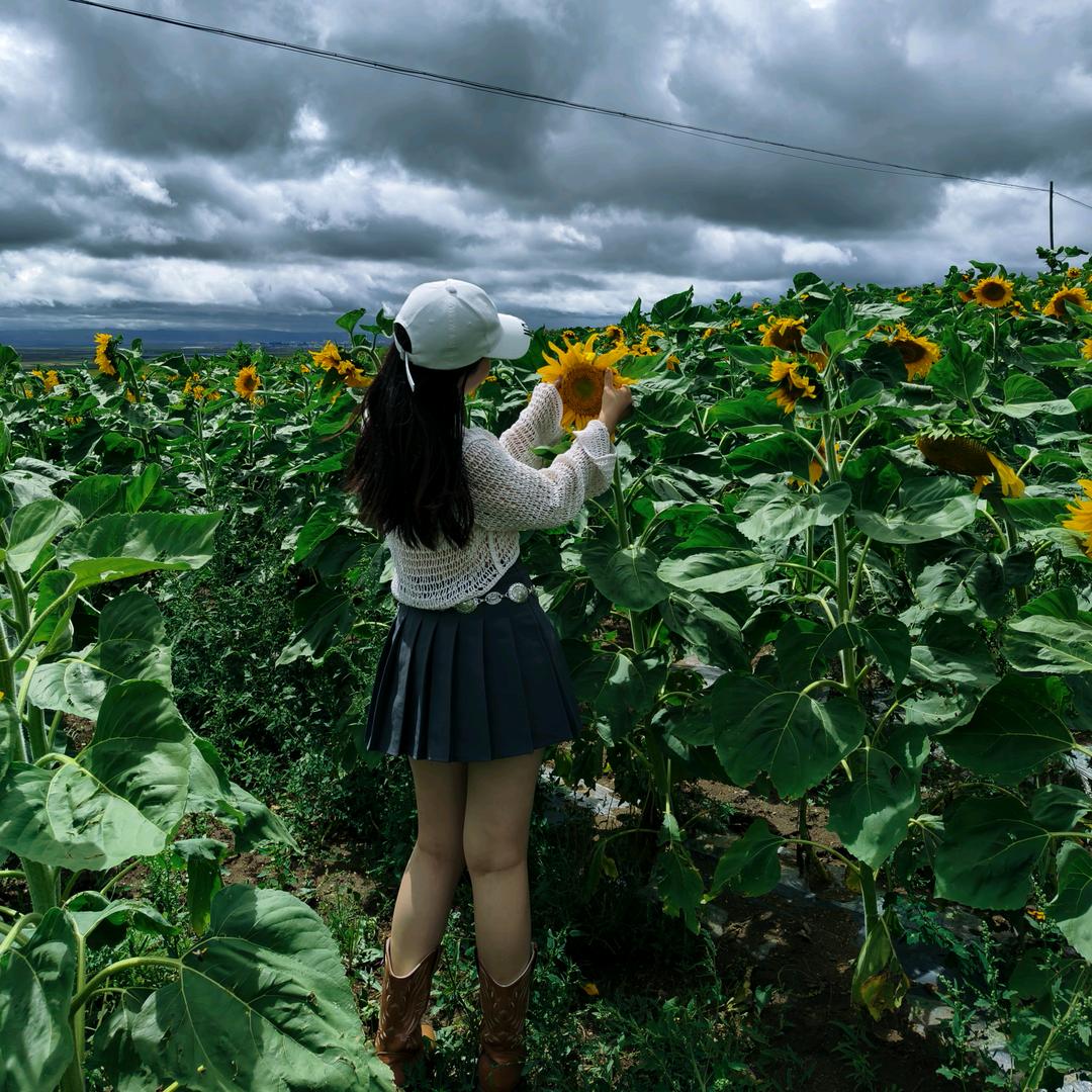 想当奥特曼的小怪兽_