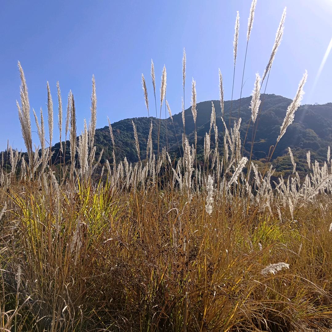 一切随缘💔就好👌
