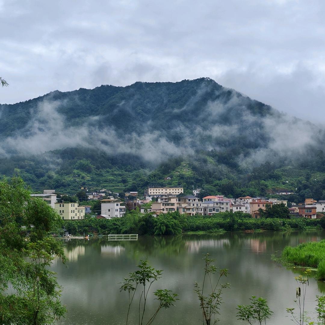 乡村小张