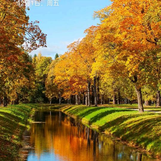 灿烂阳光