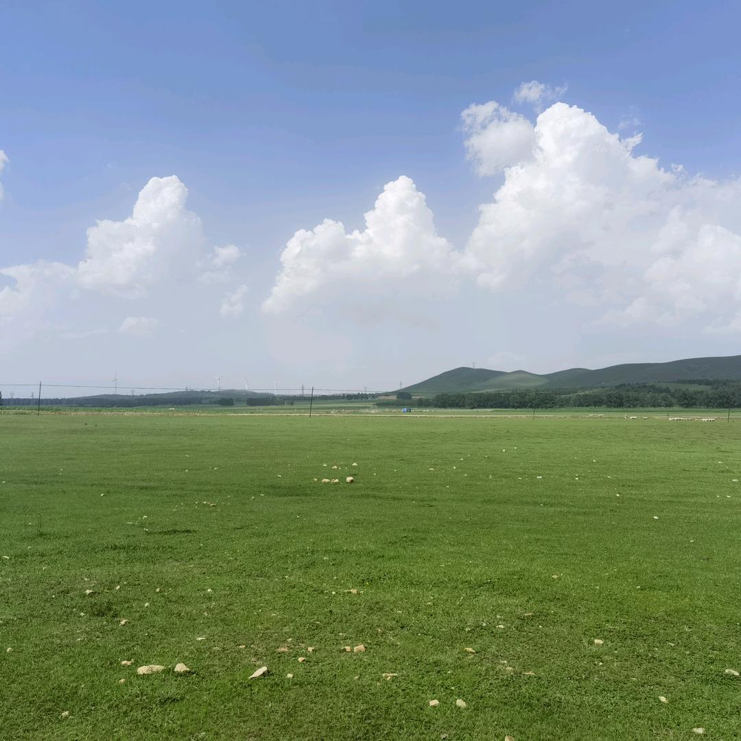 来来来，跑起来