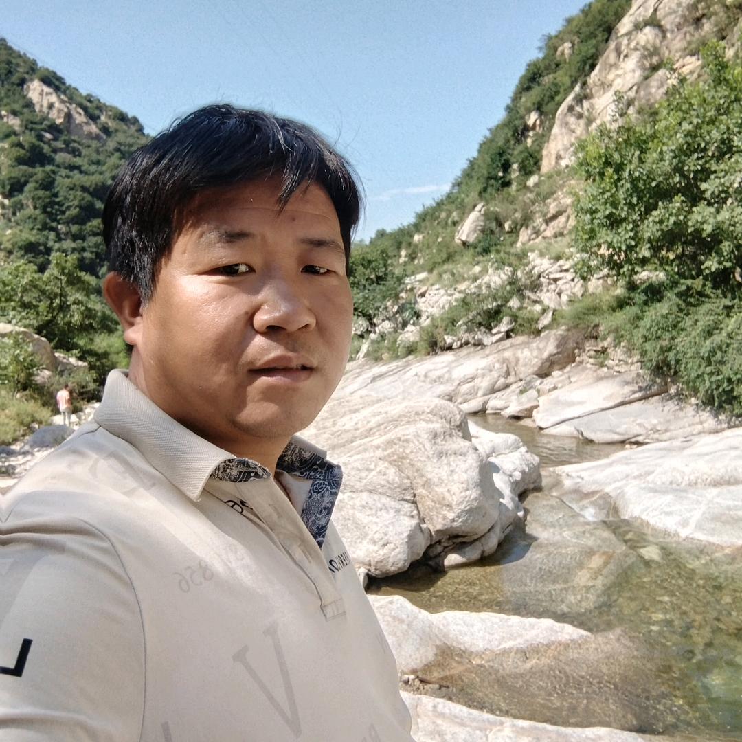 自由飞翔。
