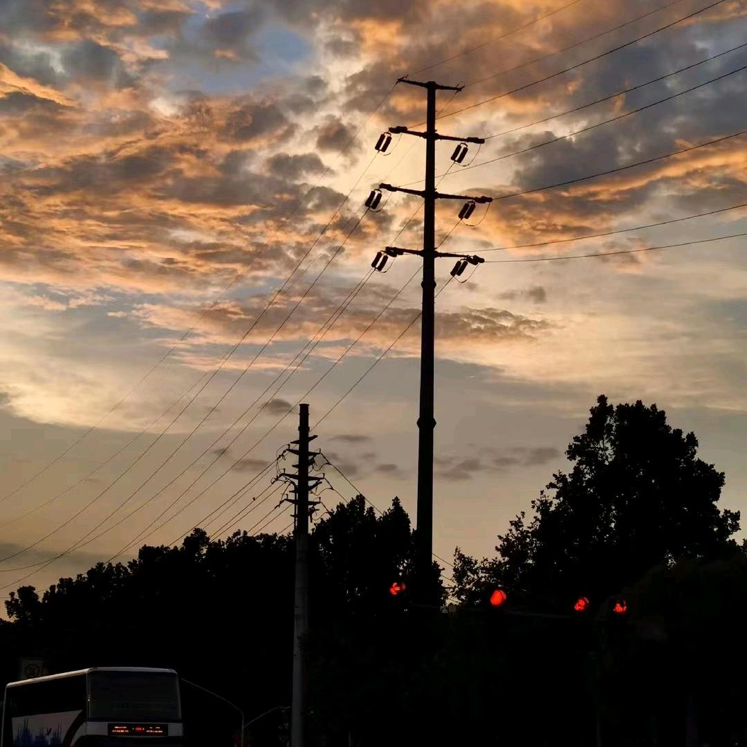 **一只真正的鳗