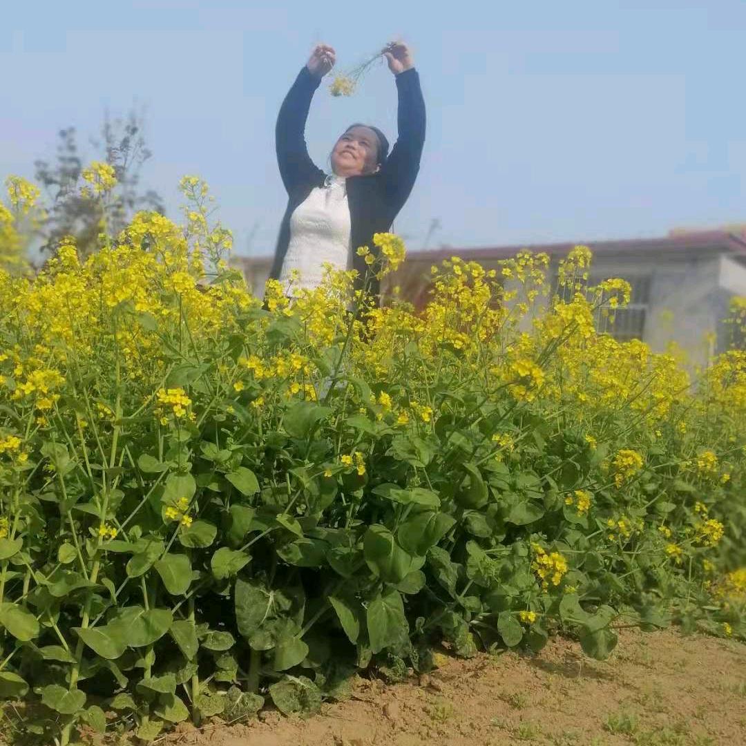 玫瑰花开🌹🌹