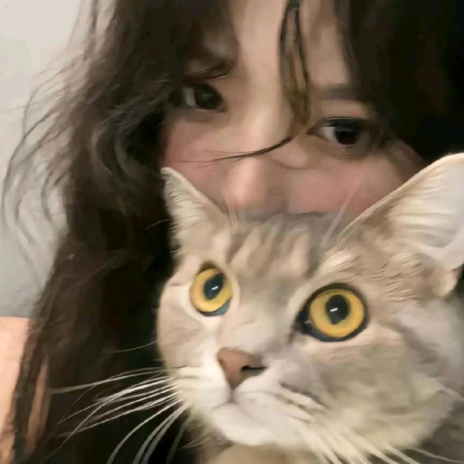 别看我只是一只羊🐏