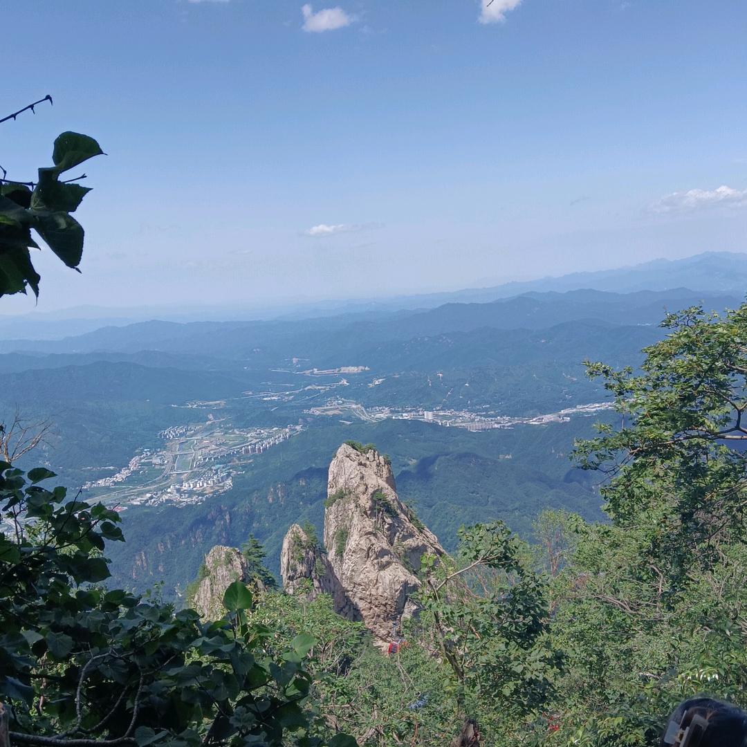 全网第一评论人