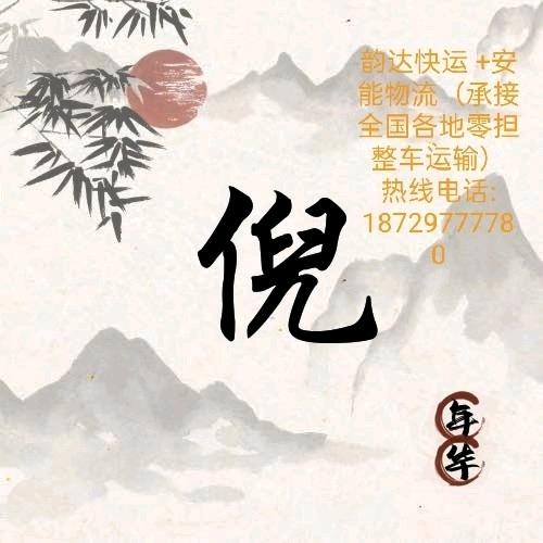 中通小倪