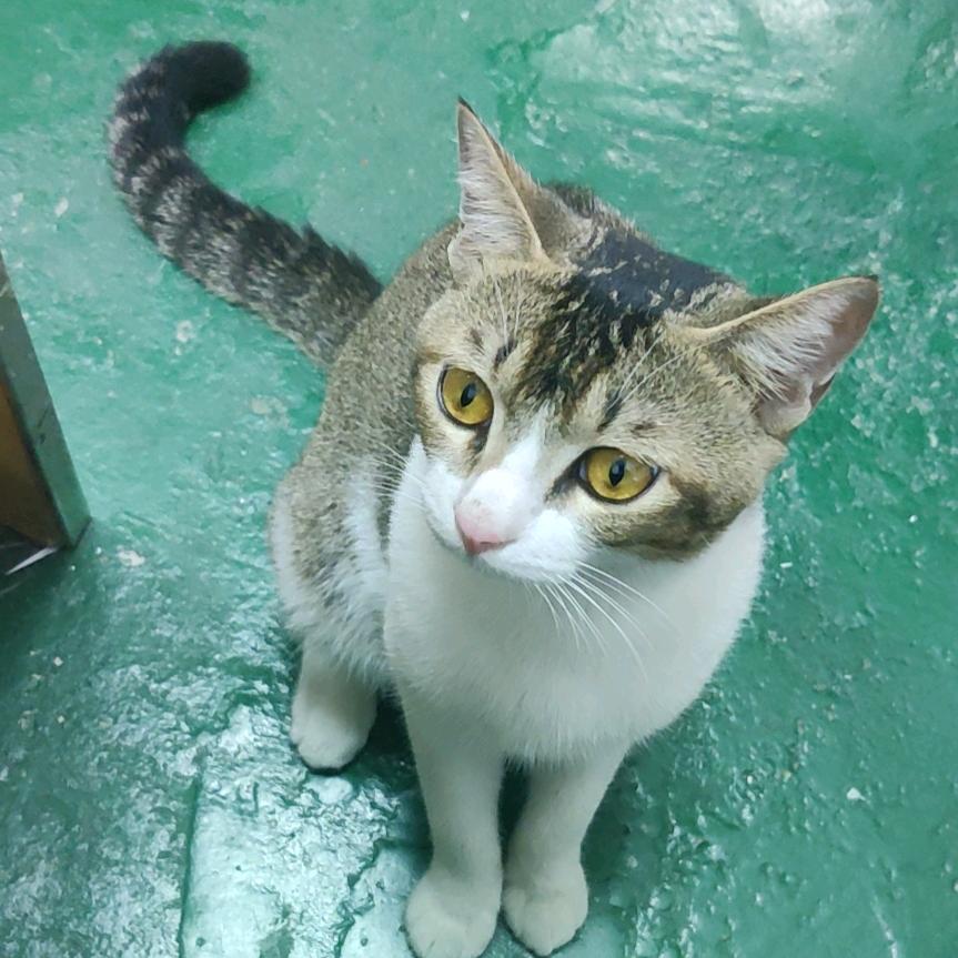 稳住别浪我会送