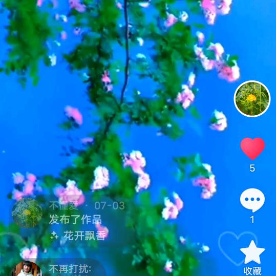 不懂爱
