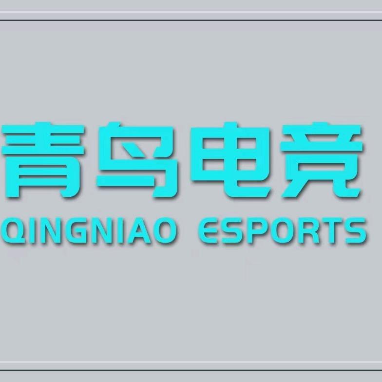 青鸟电竞官方号