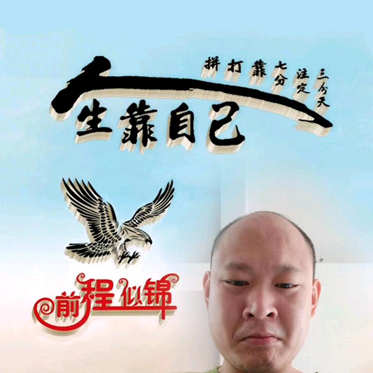 重情重义的熊猫兽头像