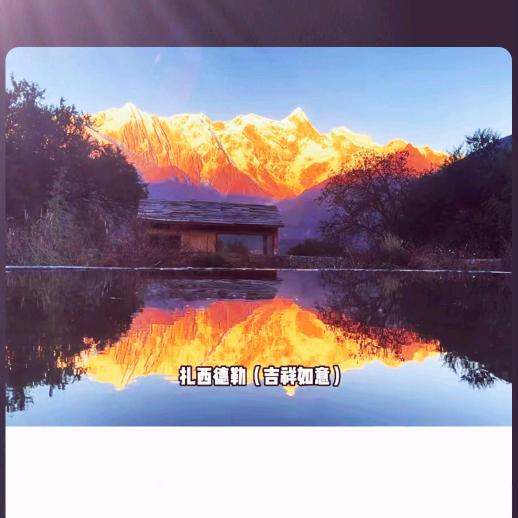 向阳 而生