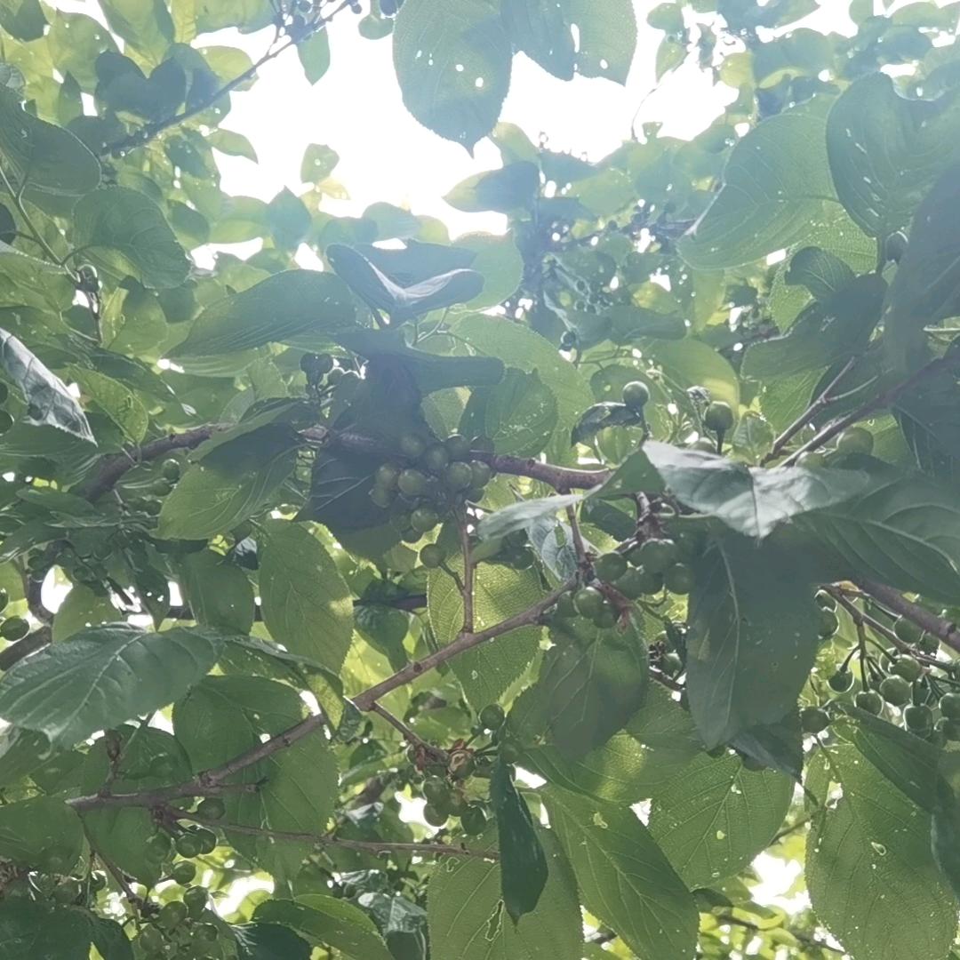 咚咚中央空调地暖新风家电