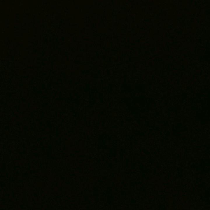狗屎