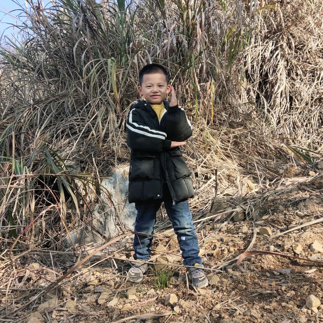 鑫辉门窗