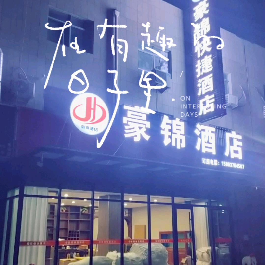 天山雪莲  张红卫
