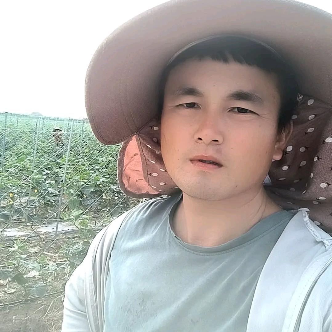 茼蒿菜王子，玉米扛把子