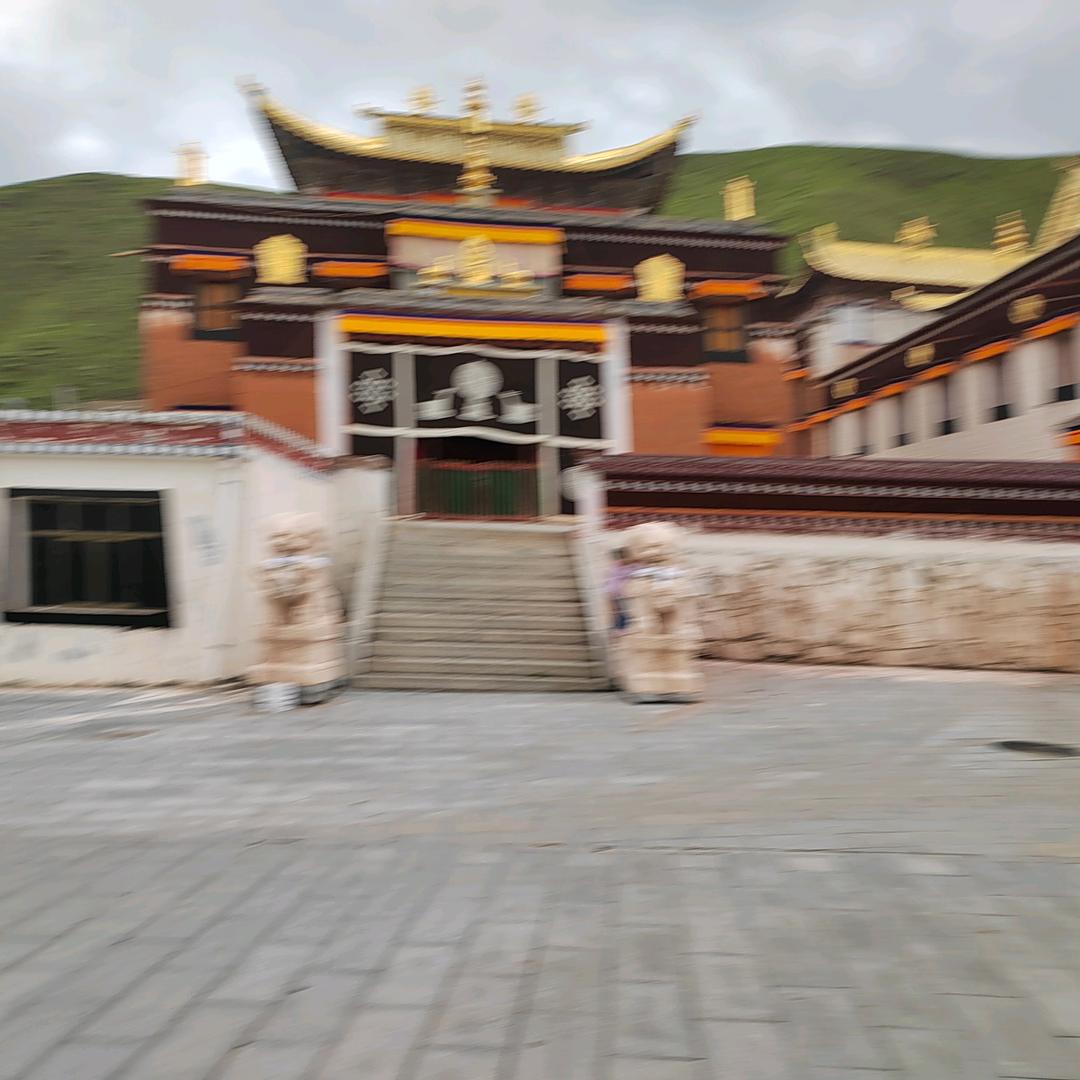 飞机