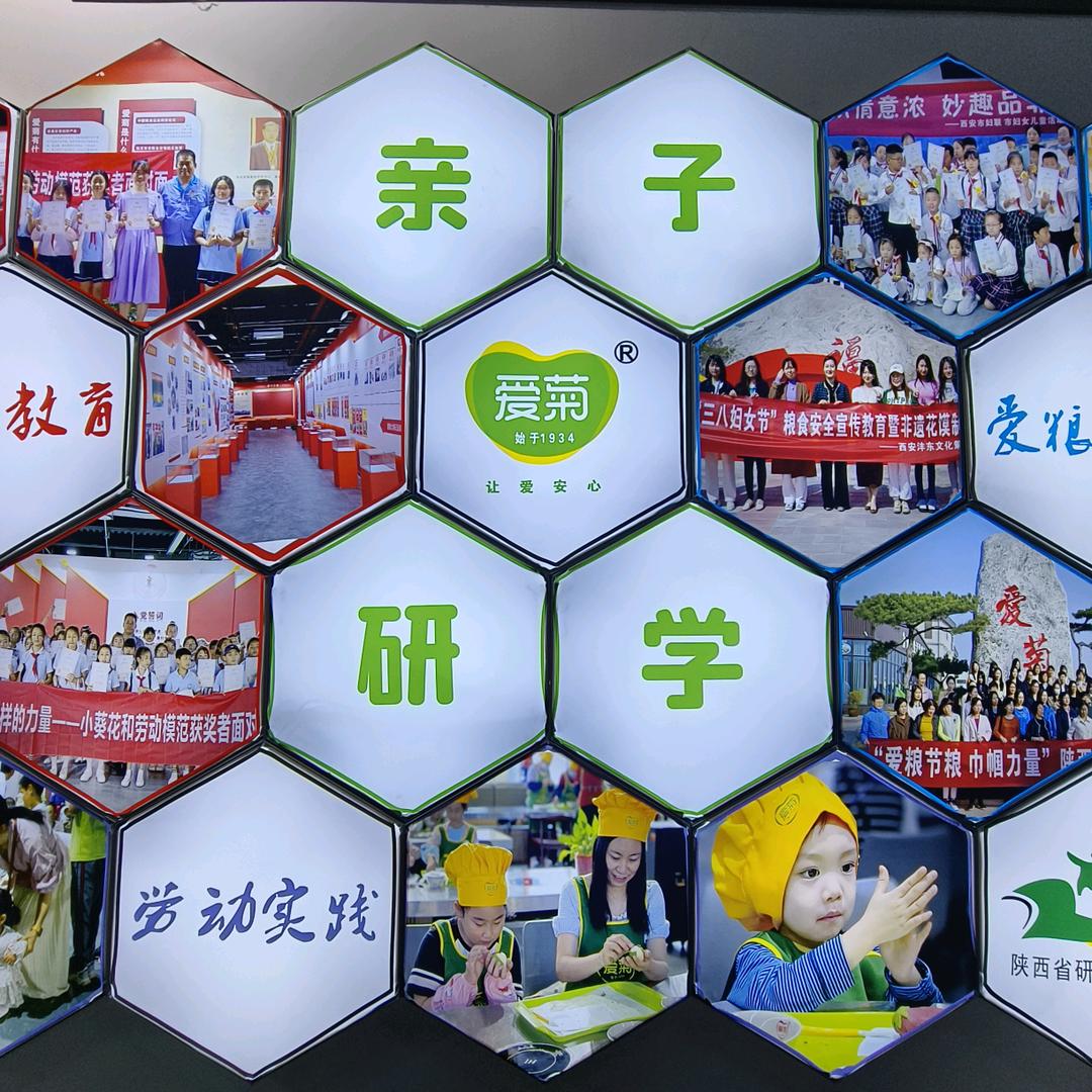 爱菊亲子研学部