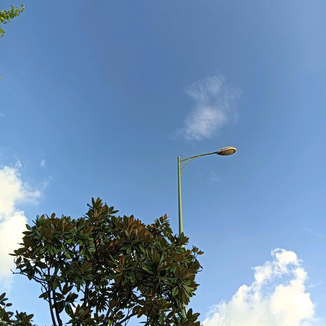 苑庄