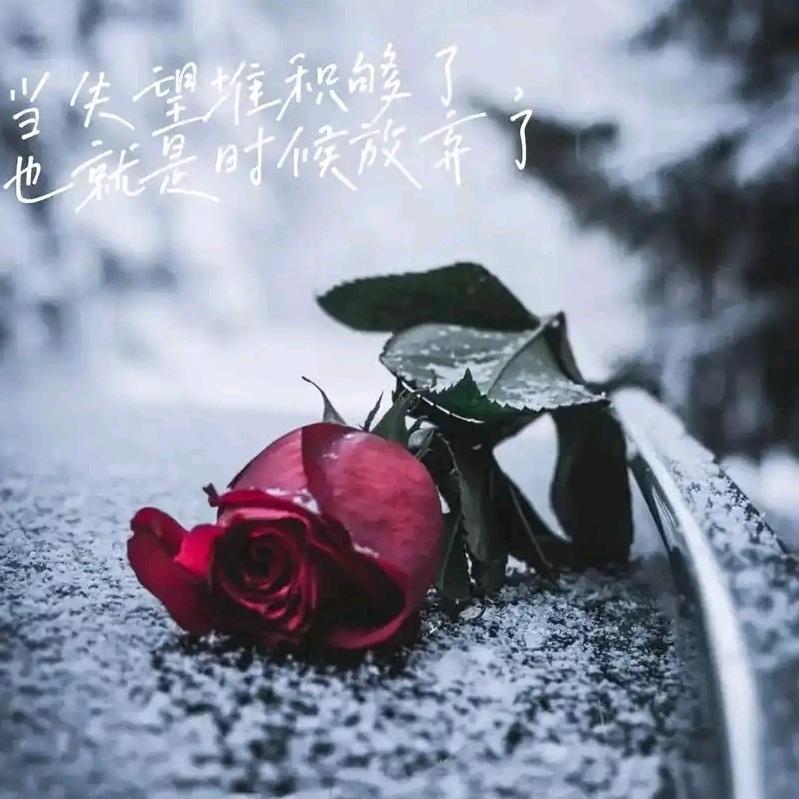 此生不回头望你