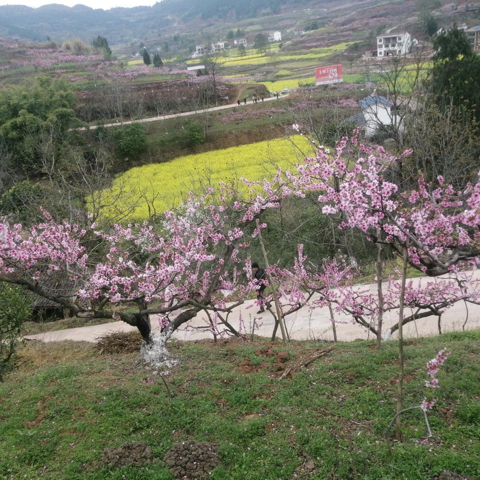 飞飞《晚上8点》