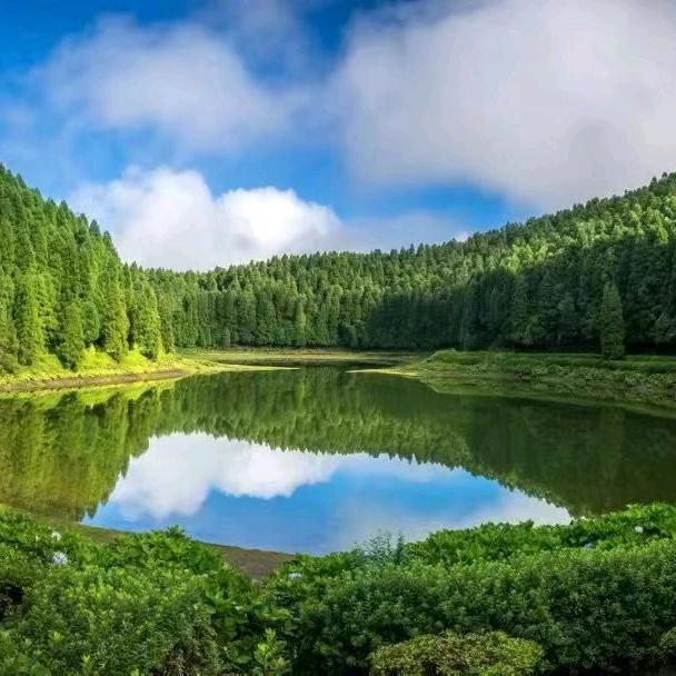 烟台王超果品(苹果，梨)