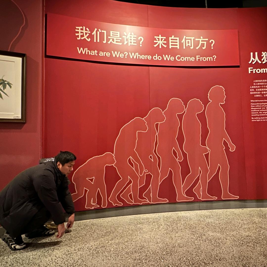 诸葛榴莲