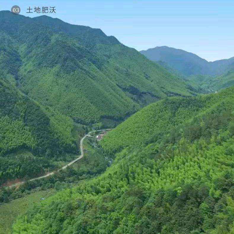 @忆江南