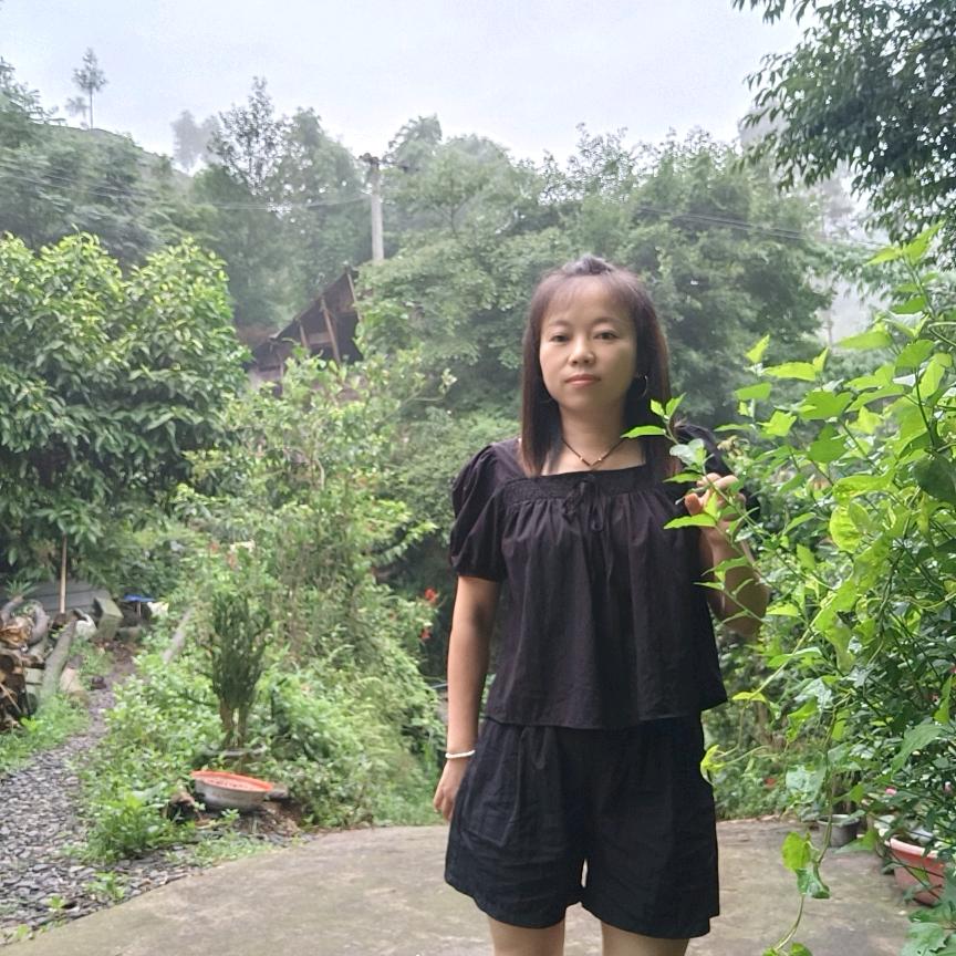开心燕