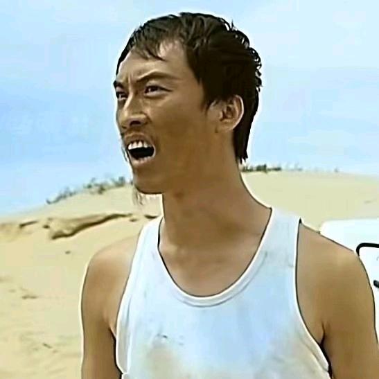 风也留不住你
