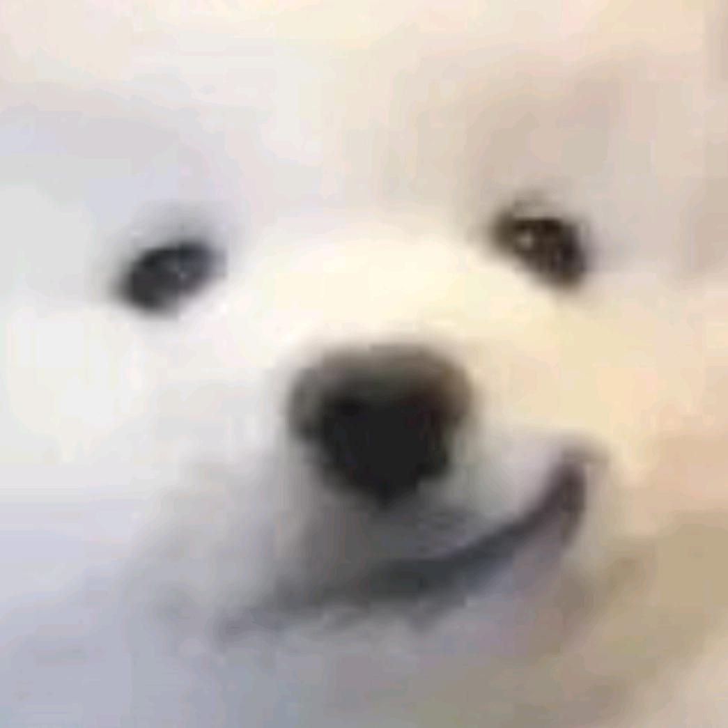 苦茶都被骗没了