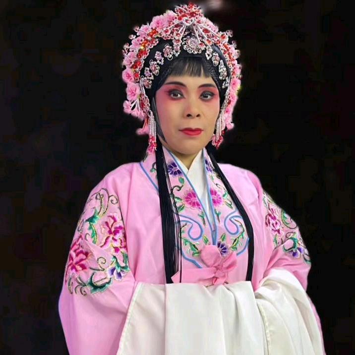 梦含程程家专属字幕(蓝天字幕)